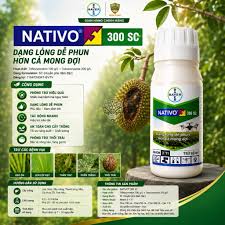 Nativo 300SC