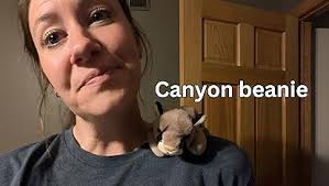 Amazon.com: Ty Beanie Baby Sly