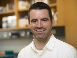 Robust and specific gene regulation tool developed for primary brain neurons