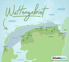 Die nordsee gmbh als projektkoordinator. Das Wattenmeer Der Niederlande Erholung Fur Die Seele Urlaubsguru