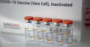 May 23, 2021 · overview. Sinovac Covid 19 Vaccine Safe For Ages 3 To 17 In Small Early Trial Devex