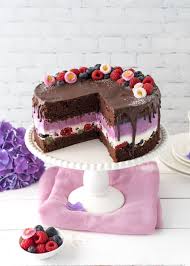 Beeren Schokoladen Torte Mit Schoko Drip Rezept Backen Blaubeeren Himbeeren Joghurt Torte Beeren Dripcake Backen In 2020 Fruity Cake Desserts Dessert Recipes Easy
