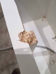 10 best undermount kitchen sinks of july 2021. I Think I May Have Botched Cabinet Cutout For Sink Screwfix Community Forum
