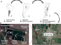 Study area. A Location of the WWTP. B Sampling sites at the different...