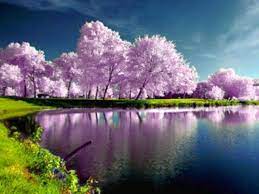High Resolution Spring Desktop Wallpaper Spring Wallpapers Hd Images Wallpaper High Resolution Spring Wallpaper Spring Wallpaper Hd Nature Desktop Wallpaper