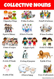 Share This On Whatsappcollective Noun Definition A Collective Noun Is A Noun Such As Family Or Team That R Collective Nouns English Collective Nouns Nouns