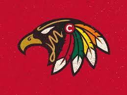 Maybe you would like to learn more about one of these? Sports Logo Inspiration Sports Team Logos Hawk Logo