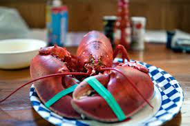 We did not find results for: Riconsidera L Aragosta Il Piu Lussuoso Crostaceo Del Mondo Come Non L Avete Mai Letto Dissapore