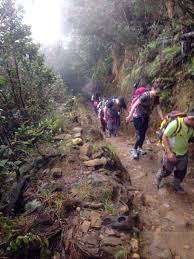 Gunung kinabalu selalu menarik para pendaki dunia. Script Async Async Src Pagead2 Googlesyndication Com Pagead Js Adsbygoogle Js Script Script Adsbygoogle Window Adsbygoogle Push Google Ad Client Ca Pub 8298637322134543 Enable Page Level Ads True Script Gunung