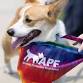 Woofstock Music Festival and 5k