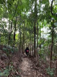 1, jalan setia nusantara u13/22t, setia eco park, seksyen u13, 40170 shah alam, selangor. Mirror Lake Via Setia Eco Park Trail Hike Shah Alam Selangor Malaysia Pacer
