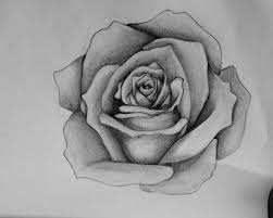 How to draw a heart rose drawingnow cobacomthanksgivingaerobaticappcomhow many days till november 26th 2020. Rose Drawing Discovered By Alberte Dons On We Heart It Jpg Cliparting Com