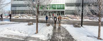 Business Analytics University Of Calgary