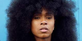 Angela davis | how capitalism affects th. Interview With Assa Traore Leader Of Justice For Adama Okayafrica