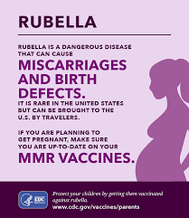 Image result for Rubella