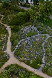 Alpinum Pflanzenpatenschaft Im Botanischen Garten