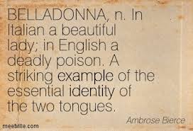 Italian Quotes In English Quotesgram
