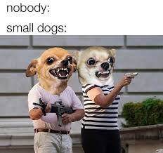 It Really Do Be Like That Really Funny Memes Dog Memes Funny Relatable Memes