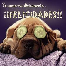 Felicidades papa en tu cumpleanos felicidades papa por el dia de los padres felicidades papa imagenes felicidades papa poemas felicidades papa. Felicidades Con Fotos Animales Buscar Con Google Feliz Dia Del Padre Papa Perruno Dia Del Padre