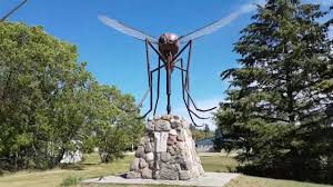 Komarno - Roadside - Mosquito - YouTube