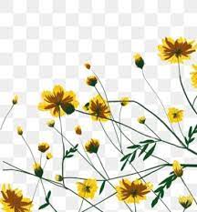 Hand Drawn Cartoon Daisy Flowers Border Decoration Free Buckle Element Yellow Flowers Flat Small Fresh Png Transparent Clipart Image And Psd File For Free Do Colorful Backgrounds Watercolor Flowers Hand Drawn