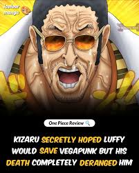 WTF,Vegapunk programmed kuma to protect the sunny for 2  years,why...........Is it because Vegapunk works for revolutionaries  army,and also for that theory that says kizaru is vegapunk they are  wrong,cuz when kuma fought