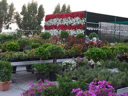 Whether you're looking for gardening equipment, indoor gardening supplies, or plant nutrients; Gover Garden Centre Llc