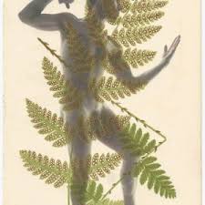 Bildergebnis für Robert Flynt