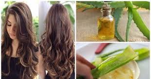 Traitement De L Aloe Vera Et L Huile D Argan Est Un Excellent Complement Pour Accelerer La Croissance Saine De Vos Ch Beauty Hacks Aloe Vera For Hair Skin Care