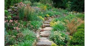 Pin On Garden
