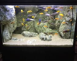 It also comes with a movable wooden top so you can easily. Benefits Of Using Artificial Rocks To Decorate Your Aquarium Tank