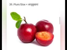 Fruits Name Fruits Name With Spelling Fruits Name In English Hindi Preschool Kindergarden Youtube Fruits Name In English Fruit Names Fruit