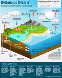 The Water Cycle Visual Ly Water Cycle Science Education Earth Science