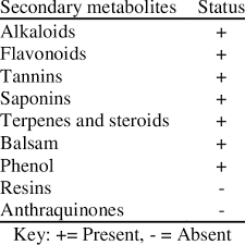 Image result for Ochna schweinfurthiana