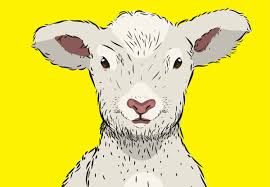 Για το αρνί στη λαδόκολλα, στύβουμε. 20 1 Pragmata Poy Prepei Na 3ereis Gia To Pasxalino Arni Lifo