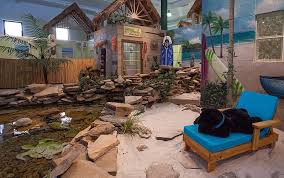 Photo Gallery My Second Home Pet Resorts Of America Nashville Tn Pet Resort Dog Hotel Pets