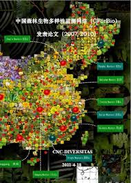 Cara memeriksa nomor axis dengan menghubungi laya. Density Dependence On Tree Survival In An Old Growth Temperate