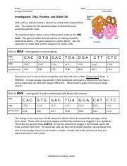 Choose your answers to the vhs: Anemia Transcription And Translation Docx Name Living Environment Date Mrs Mills Investigation Dna Proteins And Sickle Cell Sickle Cell Is A Disease Course Hero