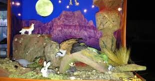 Desert Biome In A Box Pin By Jennifer Schlotter On Habitats Ecosystems Projects Ecosystems Diorama Desert Diorama
