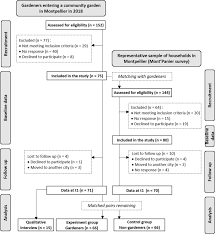 Basic panels, bamboo blinds, neutral roman shades. Improving Lifestyles Sustainability Through Community Gardening Results And Lessons Learnt From The Jardins Quasi Experimental Study Bmc Public Health Full Text