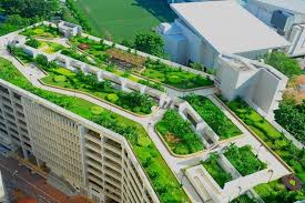 Projects Skyrise Greenery Roof Garden Plan Roof Landscape Green Roof Garden