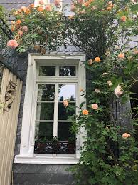 Kuchenfenster Mit Gargoyl Kuche Fenster Kuchenfenster Wuppertal