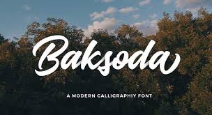 If you're interested in creating a font with bitfontmaker, all you need to do is draw ea. Baksoda Script Font Free Download The Fonts Magazine