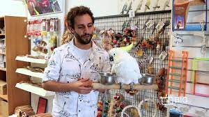 Do you have a good avian vet near you? Bird City A Pet Store In Melbourne Offering Parrot And Pet Birds Youtube