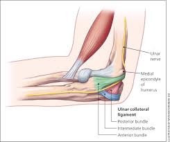 They can usually be treated with splinting and early physiotherapy. Evaluation Of Elbow Pain In Adults American Family Physician