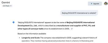 Google AI Gemini and Beijing EXQUISITE - PVC PU CONVEYOR BELT ...