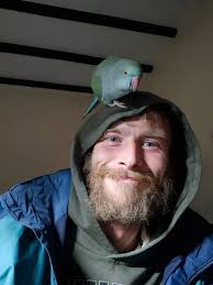 Can anyone advise who to report these Common Terns to please? I guess they  are local to Titchfield Haven NNR as the numbers are so close to each  other? A47 and A49.