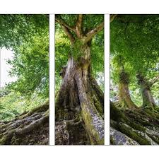 Glasbild Fur Naturliebhaber Ein 3 Teiliges Schmuckstuck Fur Ihre Wand Baum Des Lebens Malerei Glasbilder Und Glasbilder Strand