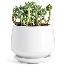 Maybe you would like to learn more about one of these? Ceramic Plant Pot Flower Planters 5 9 Inch With Drainage Hole Saucer Medium Pots For Indoor Plant Enough Space Shiny White Buy 5 9 Inch Flower Pots Ceramic Plant Pot Flower