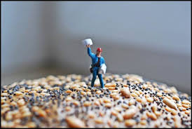 Image result for art Miniature